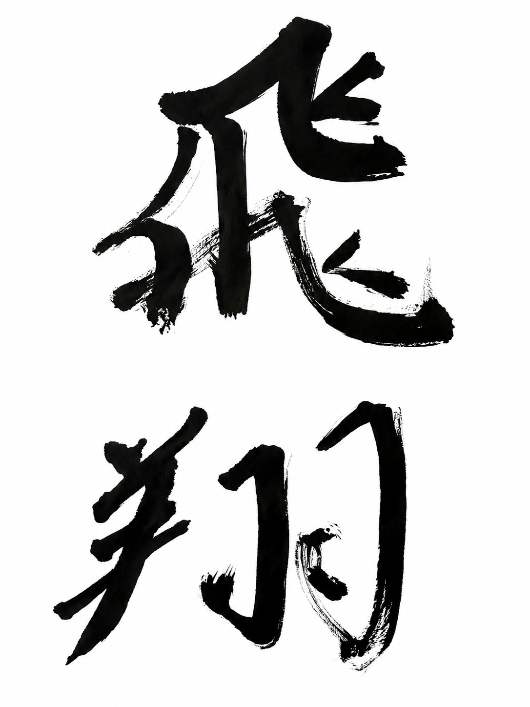 六《飛翔》（ひしょう）向かい風に乗れ